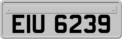 EIU6239