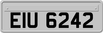 EIU6242