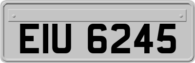 EIU6245