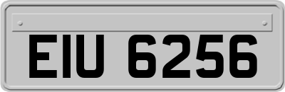 EIU6256