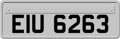 EIU6263