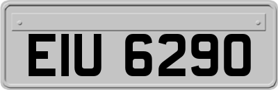 EIU6290