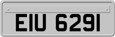 EIU6291