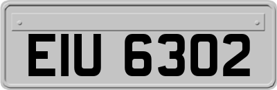 EIU6302