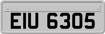 EIU6305