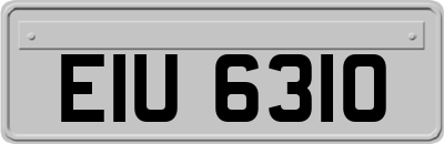 EIU6310