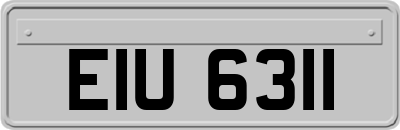 EIU6311