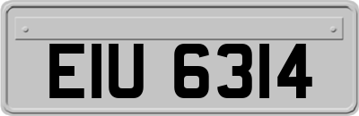 EIU6314