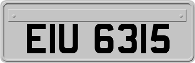 EIU6315