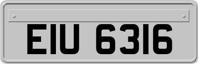 EIU6316