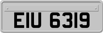 EIU6319