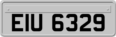 EIU6329