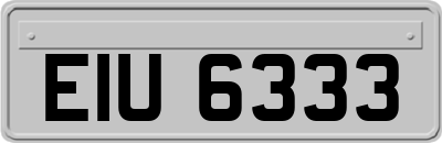 EIU6333
