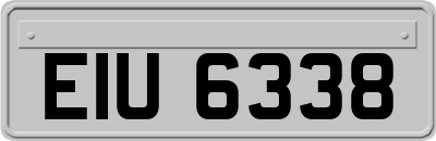 EIU6338