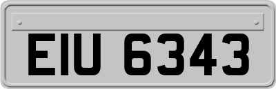 EIU6343