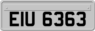 EIU6363