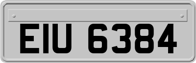 EIU6384