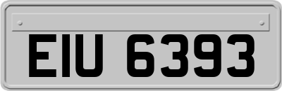 EIU6393