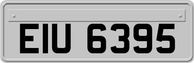EIU6395