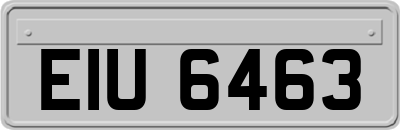 EIU6463