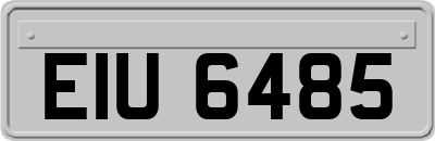 EIU6485