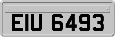 EIU6493