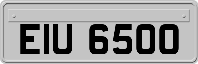 EIU6500