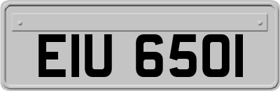 EIU6501