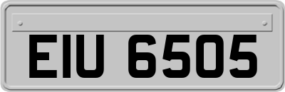 EIU6505