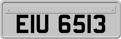 EIU6513
