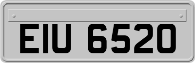 EIU6520