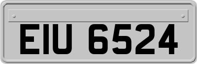 EIU6524