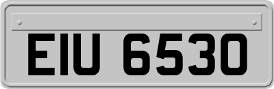 EIU6530