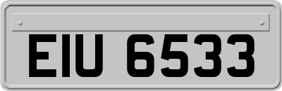 EIU6533