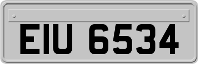 EIU6534