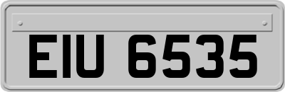 EIU6535