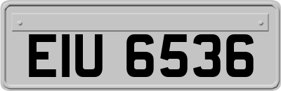 EIU6536