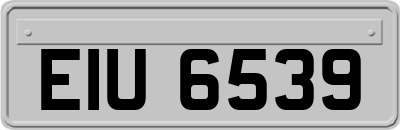 EIU6539
