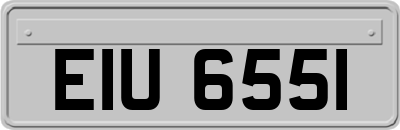 EIU6551