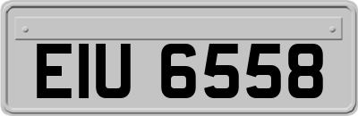 EIU6558