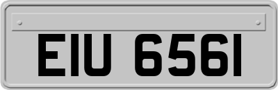 EIU6561