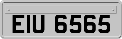 EIU6565