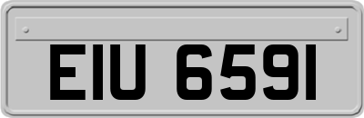 EIU6591