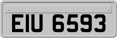 EIU6593
