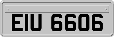 EIU6606
