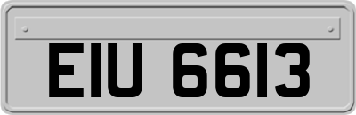 EIU6613