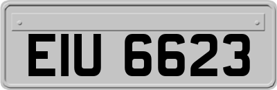 EIU6623