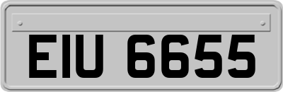 EIU6655