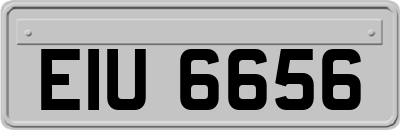 EIU6656