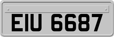 EIU6687